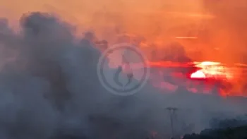 Incendie à Rognac - Bouches-du-Rhône - 1 juillet 2026 - Feux de forêts et d'espaces naturels