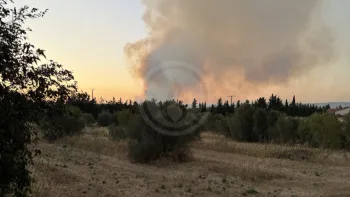 Incendie à Rognac - Bouches-du-Rhône - 1 juillet 2026 - Feux de forêts et d'espaces naturels