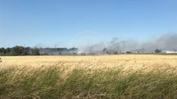 Incendie à Narbonne - Aude - 2 juillet 2026 - Feux de forêts et d'espaces naturels