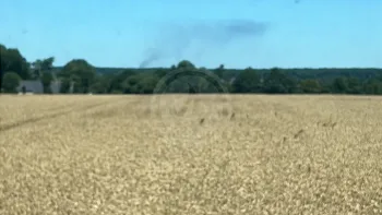 Incendie à Quédillac - Ille-et-Vilaine - 4 juillet 2026 - Feux de forêts et d'espaces naturels
