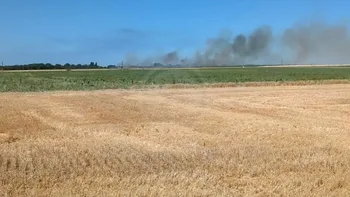 Incendie à Treilles-en-Gâtinais - Loiret - 4 juillet 2026 - Feux de forêts et d'espaces naturels