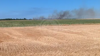 Incendie à Treilles-en-Gâtinais - Loiret - 4 juillet 2026 - Feux de forêts et d'espaces naturels