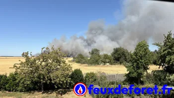 Incendie à Chaudon - Eure-et-Loir - 4 juillet 2026 - Feux de forêts et d'espaces naturels