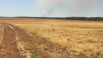 Incendie à Chaudon - Eure-et-Loir - 4 juillet 2026 - Feux de forêts et d'espaces naturels