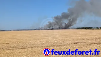 Incendie à Chaudon - Eure-et-Loir - 4 juillet 2026 - Feux de forêts et d'espaces naturels