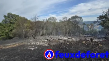 Incendie à Montigny-en-Morvan - Nièvre - 7 juillet 2026 - Feux de forêts et d'espaces naturels