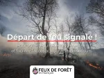 Paimpont (35)