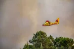 Gérald Darmanin annonce l'envoi de sapeurs-pompiers français en renfort en Grèce