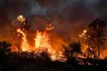 La côte méditerranéenne victime des flammes