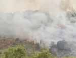 Malaisie : Incendies de forêt à Pahang, la lutte continue