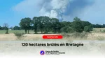 Bretagne : 120 hectares ravagés en forêt de Brocéliande