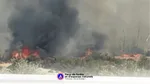 Incendie à Sigean : ce que l’on sait sur le feu dans l’Aude
