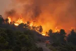 Canicule précoce et historique : pourquoi la vague de chaleur de mai 2026 fait basculer le risque incendie un mois avant l'été