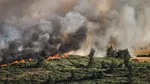 Feu de forêt en Haute-Loire : 300 hectares brûlés, l'incendie désormais fixé