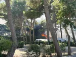Incendie à Sainte-Marie-la-Mer et Canet-en-Roussillon : 30 hectares brûlés, 1 700 personnes évacuées