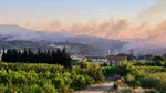 Feu de forêt dans les Pyrénées-Orientales : 930 hectares parcourus, les pompiers toujours à la luttent