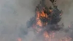Incendie dans les Landes : réactivation du feu dans le nuit, 1 580 hectares brûlés