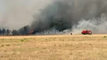 Incendies dans l'Aude : près de 1 000 hectares partis en fumée, un pompier blessé