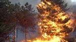 Var: the Gros Bessillon wildfire brought under control after eight days of a fierce battle