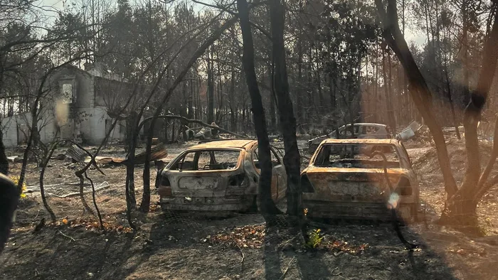Forest fires in France: a record financial cost of 500 million euros for insurers
