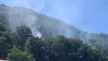 Incendie à Saint-Affrique - Aveyron - 7 juillet 2026 - Feux de forêts et d'espaces naturels