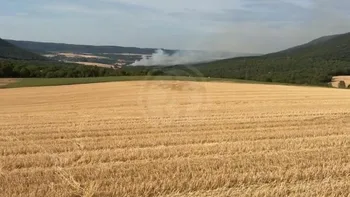 Incendie à Fleurey-sur-Ouche - Côte-d'Or - 7 juillet 2026 - Feux de forêts et d'espaces naturels