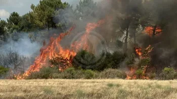 Incendie à Montrevault-sur-Èvre - Maine-et-Loire - 7 juillet 2026 - Feux de forêts et d'espaces naturels