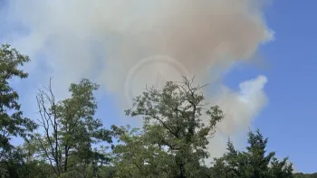 Incendie à Nuits-Saint-Georges - Côte-d'Or - 8 juillet 2026 - Feux de forêts et d'espaces naturels