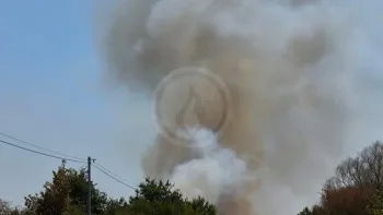 Incendie à Mézières-en-Brenne - Indre - 8 juillet 2026 - Feux de forêts et d'espaces naturels
