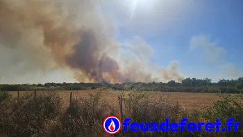 Incendie à Mézières-en-Brenne - Indre - 8 juillet 2026 - Feux de forêts et d'espaces naturels