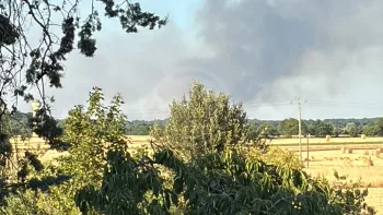 Incendie à Mézières-en-Brenne - Indre - 8 juillet 2026 - Feux de forêts et d'espaces naturels