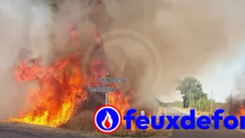 Incendie à Mézières-en-Brenne - Indre - 8 juillet 2026 - Feux de forêts et d'espaces naturels