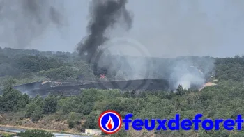Incendie à Étagnac - Charente - 9 juillet 2026 - Feux de forêts et d'espaces naturels