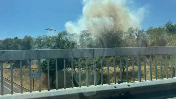 Incendie à Olivet - Loiret - 9 juillet 2026 - Feux de forêts et d'espaces naturels