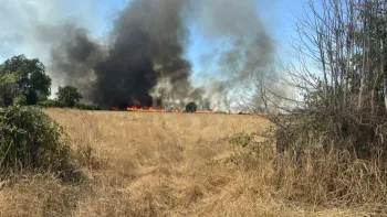 Incendie à Aurouër - Allier - 9 juillet 2026 - Feux de forêts et d'espaces naturels