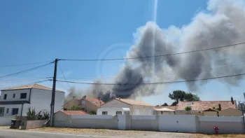 Incendie à La Plaine-sur-Mer - Loire-Atlantique - 10 juillet 2026 - Feux de forêts et d'espaces naturels