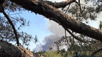 Incendie à La Plaine-sur-Mer - Loire-Atlantique - 10 juillet 2026 - Feux de forêts et d'espaces naturels