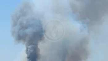 Incendie à La Plaine-sur-Mer - Loire-Atlantique - 10 juillet 2026 - Feux de forêts et d'espaces naturels