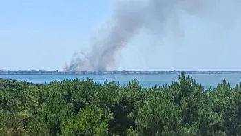 Incendie à La Plaine-sur-Mer - Loire-Atlantique - 10 juillet 2026 - Feux de forêts et d'espaces naturels