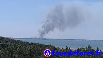 Incendie à La Plaine-sur-Mer - Loire-Atlantique - 10 juillet 2026 - Feux de forêts et d'espaces naturels