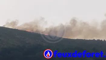 Incendie à Aizac - Ardèche - 11 juillet 2026 - Feux de forêts et d'espaces naturels