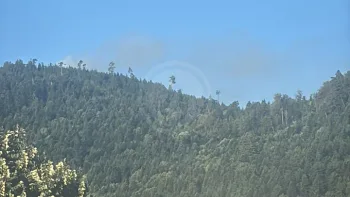 Incendie à Saint-Dié-des-Vosges - Vosges - 12 juillet 2026 - Feux de forêts et d'espaces naturels