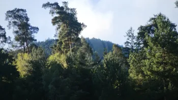 Incendie à Saint-Dié-des-Vosges - Vosges - 12 juillet 2026 - Feux de forêts et d'espaces naturels