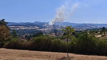 Incendie à Farnay - Loire - 12 juillet 2026 - Feux de forêts et d'espaces naturels