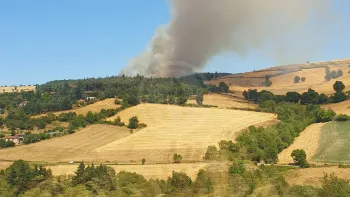 Incendie à Farnay - Loire - 12 juillet 2026 - Feux de forêts et d'espaces naturels
