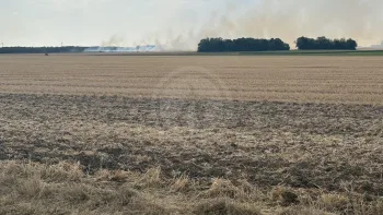 Incendie à Maisons - Eure-et-Loir - 13 juillet 2026 - Feux de forêts et d'espaces naturels