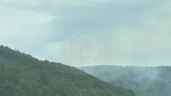 Incendie à Bogny-sur-Meuse - Ardennes - 13 juillet 2026 - Feux de forêts et d'espaces naturels