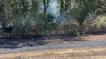 Incendie à Vasles - Deux-Sèvres - 21 juillet 2026 - Feux de forêts et d'espaces naturels