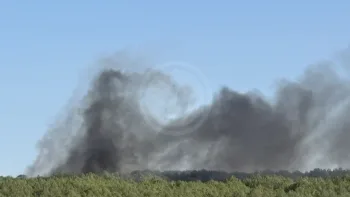 Incendie à La Tremblade - Charente-Maritime - 21 juillet 2026 - Feux de forêts et d'espaces naturels