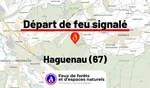 Haguenau (67)